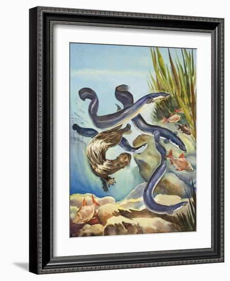 The Eel's Amazing Journey-G. W Backhouse-Framed Giclee Print