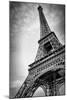 The Eiffel Tower In Paris-Giancarlo Liguori-Mounted Art Print