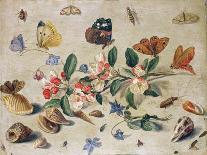 Tulips, Roses, Anemones in a Glass Vase with Butterflies and a Caterpillar-Jan van, the Elder Kessel-Giclee Print