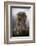 The Elderly-Csaba Tokolyi-Framed Photographic Print