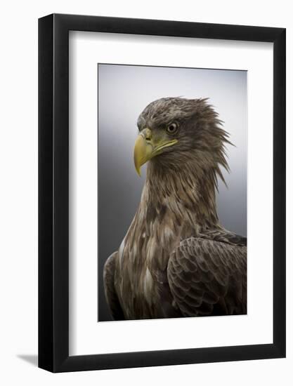 The Elderly-Csaba Tokolyi-Framed Photographic Print