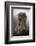 The Elderly-Csaba Tokolyi-Framed Photographic Print