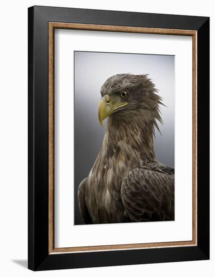 The Elderly-Csaba Tokolyi-Framed Photographic Print