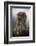 The Elderly-Csaba Tokolyi-Framed Photographic Print