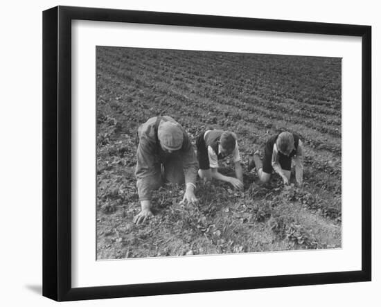 The Eldest Boys Helping their Father in the Farm Fields-null-Framed Photographic Print