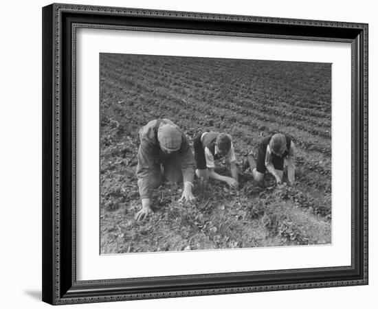 The Eldest Boys Helping their Father in the Farm Fields-null-Framed Photographic Print