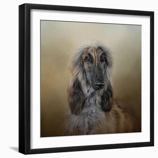 The Elegant Afghan Hound-Jai Johnson-Framed Giclee Print