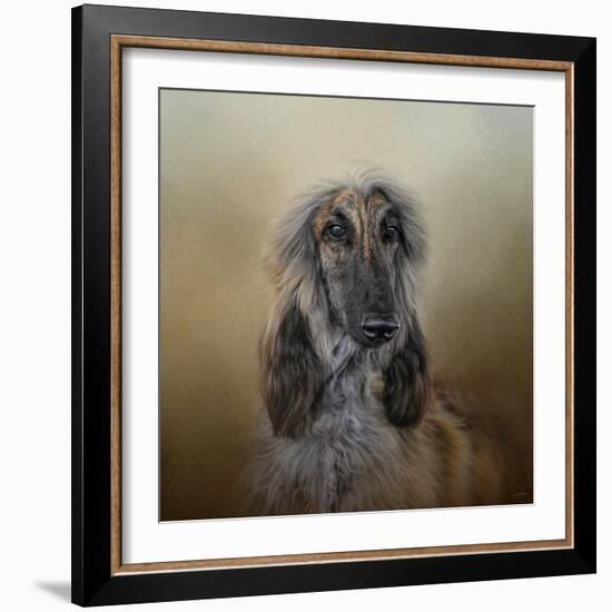 The Elegant Afghan Hound-Jai Johnson-Framed Giclee Print