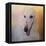 The Elegant Borzoi-Jai Johnson-Framed Premier Image Canvas