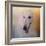 The Elegant Borzoi-Jai Johnson-Framed Giclee Print