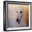 The Elegant Borzoi-Jai Johnson-Framed Giclee Print