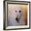 The Elegant Borzoi-Jai Johnson-Framed Giclee Print