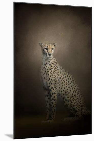 The Elegant Cheetah-Jai Johnson-Mounted Giclee Print