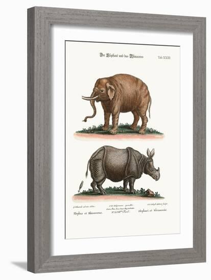 The Elephant and the Rhinoceros, 1749-73-George Edwards-Framed Giclee Print