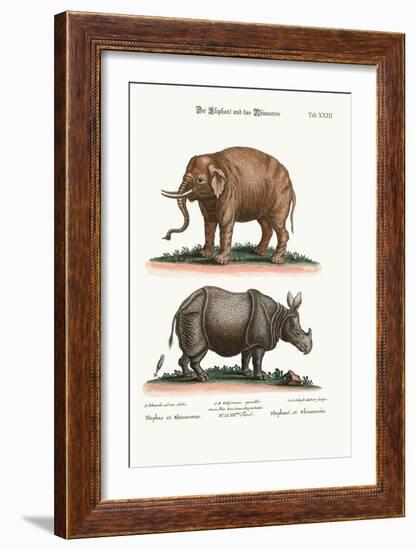 The Elephant and the Rhinoceros, 1749-73-George Edwards-Framed Giclee Print