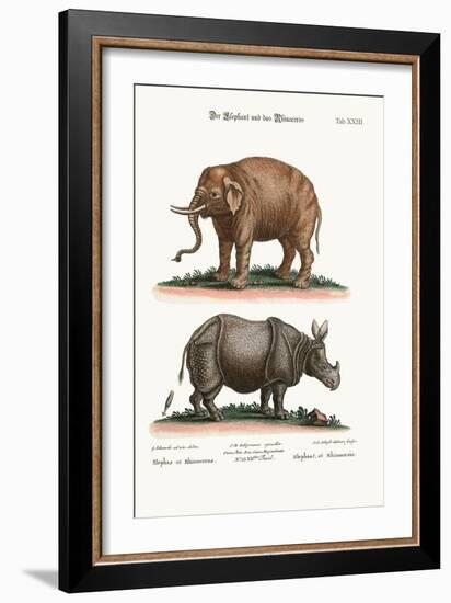 The Elephant and the Rhinoceros, 1749-73-George Edwards-Framed Giclee Print