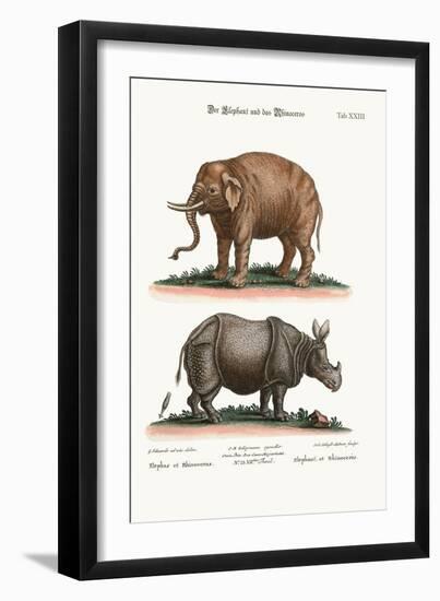 The Elephant and the Rhinoceros, 1749-73-George Edwards-Framed Giclee Print