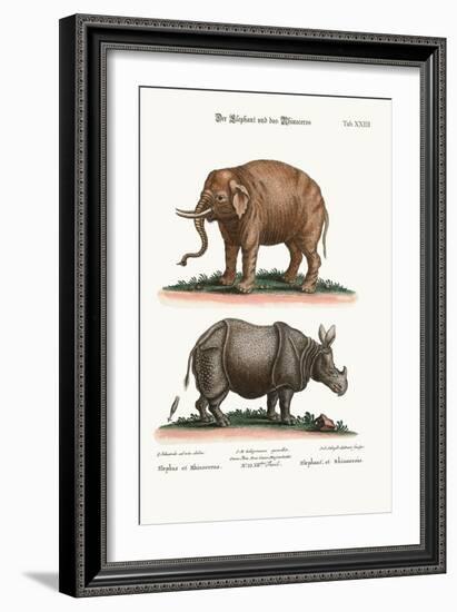 The Elephant and the Rhinoceros, 1749-73-George Edwards-Framed Giclee Print