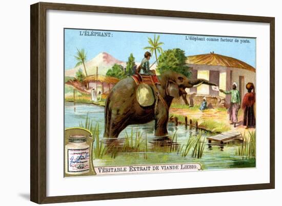 The Elephant as Postman, C1900-null-Framed Giclee Print