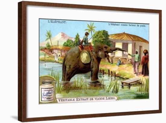 The Elephant as Postman, C1900-null-Framed Giclee Print