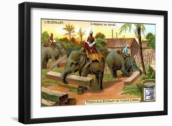 The Elephant at Work, C1900-null-Framed Giclee Print