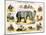 The Elephant, C1850-Benjamin Waterhouse Hawkins-Mounted Giclee Print