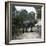 The Elephant in the Jardin Des Plantes, Paris, Circa 1895-1900-Leon, Levy et Fils-Framed Photographic Print