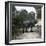 The Elephant in the Jardin Des Plantes, Paris, Circa 1895-1900-Leon, Levy et Fils-Framed Photographic Print