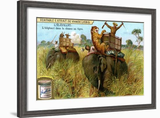 The Elephant on a Tiger Hunt, C1900-null-Framed Giclee Print