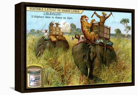 The Elephant on a Tiger Hunt, C1900-null-Framed Premier Image Canvas