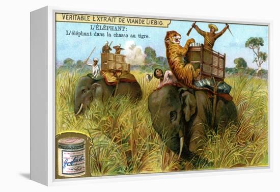 The Elephant on a Tiger Hunt, C1900-null-Framed Premier Image Canvas