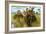 The Elephant on a Tiger Hunt, C1900-null-Framed Giclee Print