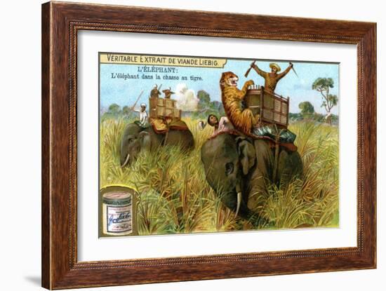 The Elephant on a Tiger Hunt, C1900-null-Framed Giclee Print