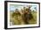 The Elephant on a Tiger Hunt, C1900-null-Framed Giclee Print