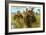 The Elephant on a Tiger Hunt, C1900-null-Framed Giclee Print