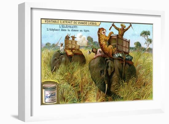 The Elephant on a Tiger Hunt, C1900-null-Framed Giclee Print