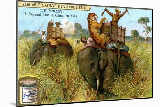 The Elephant on a Tiger Hunt, C1900-null-Mounted Giclee Print