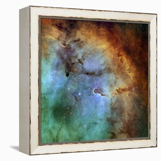 The Elephant Trunk Nebula-Stocktrek Images-Framed Premier Image Canvas