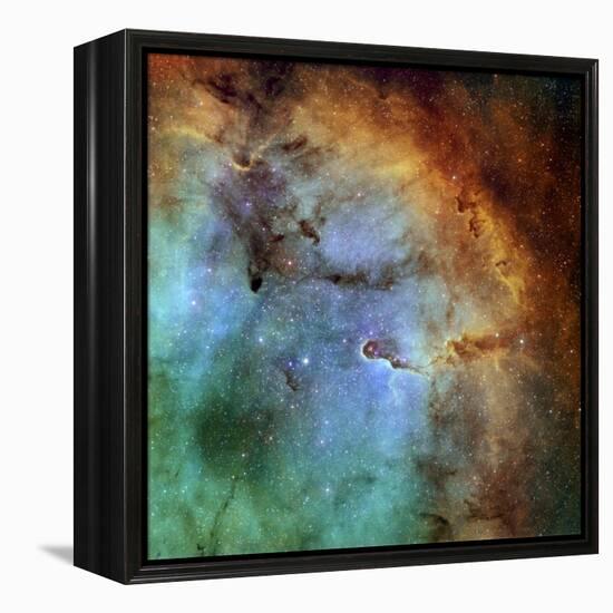 The Elephant Trunk Nebula-Stocktrek Images-Framed Premier Image Canvas