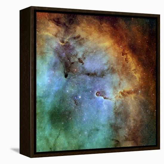 The Elephant Trunk Nebula-Stocktrek Images-Framed Premier Image Canvas