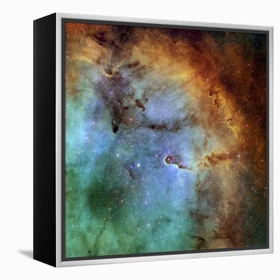 The Elephant Trunk Nebula-Stocktrek Images-Framed Premier Image Canvas