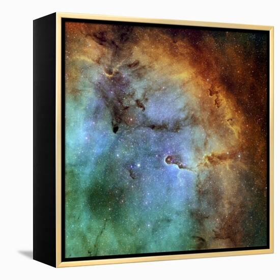 The Elephant Trunk Nebula-Stocktrek Images-Framed Premier Image Canvas