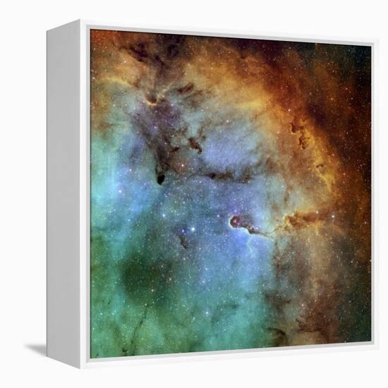 The Elephant Trunk Nebula-Stocktrek Images-Framed Premier Image Canvas