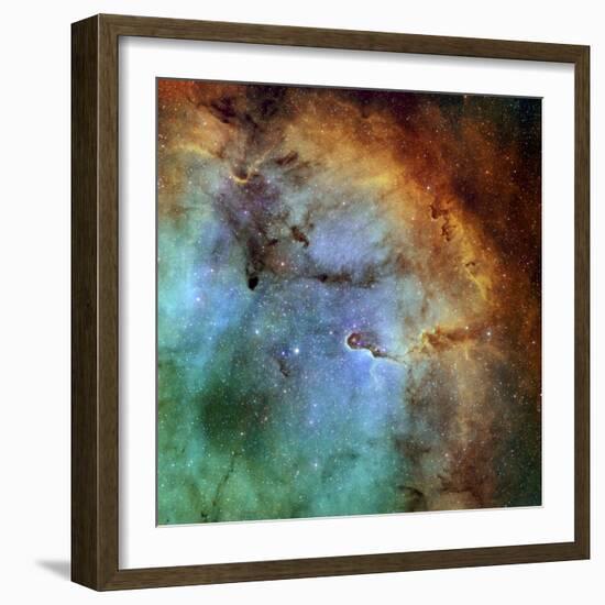 The Elephant Trunk Nebula-Stocktrek Images-Framed Photographic Print