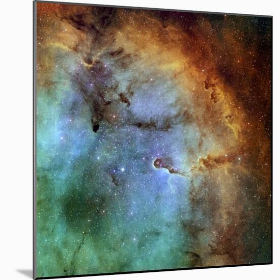 The Elephant Trunk Nebula-Stocktrek Images-Mounted Photographic Print