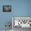 The Elephant Trunk Nebula-Stocktrek Images-Framed Premier Image Canvas displayed on a wall