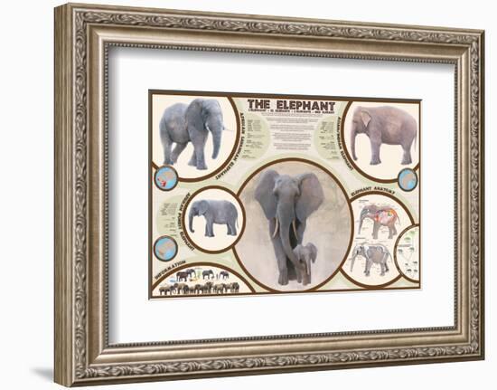 The Elephant-null-Framed Premium Giclee Print