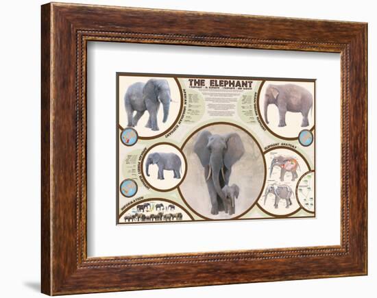 The Elephant-null-Framed Premium Giclee Print