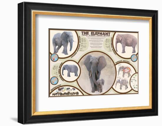 The Elephant-null-Framed Premium Giclee Print