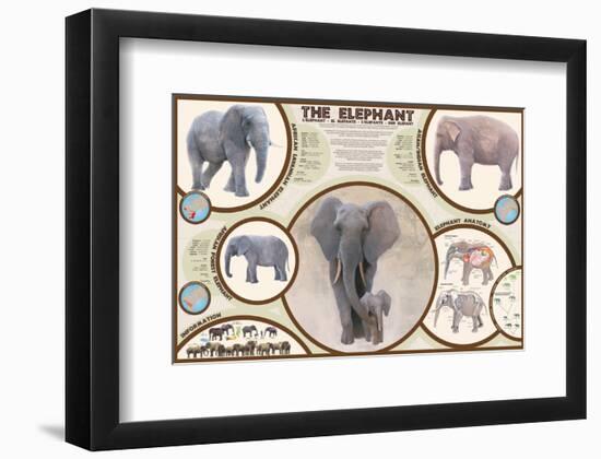 The Elephant-null-Framed Premium Giclee Print